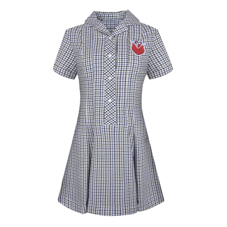 school wear dress